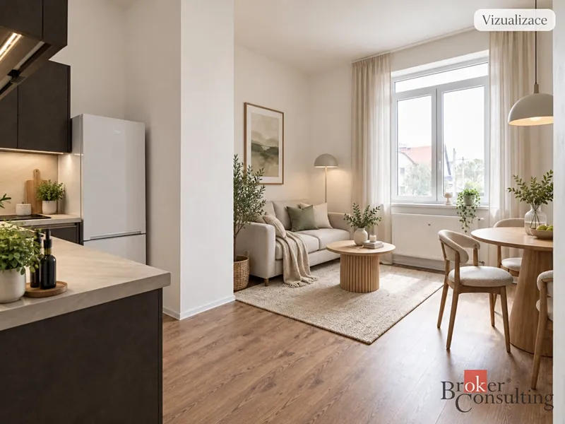Prodej, byty/1+kk, 25 m2, Palackého, Přívoz, 70200 Moravská